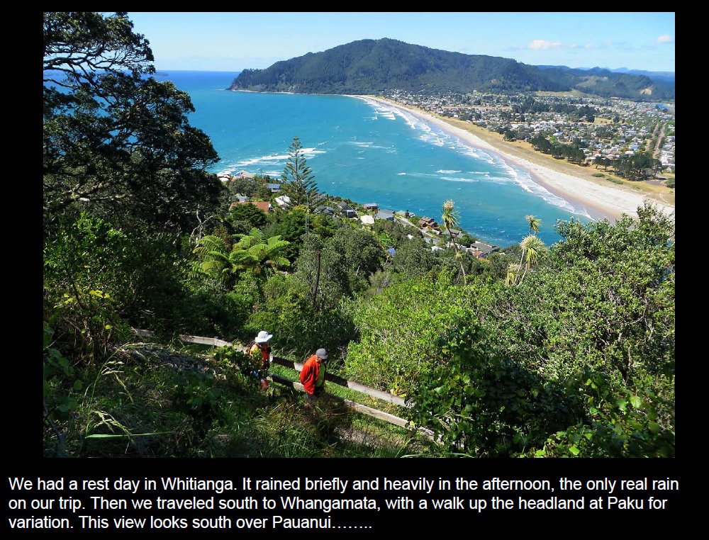 coro201529.jpg (326314 bytes)